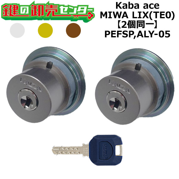 Kaba ace,河馬はやりっ子 PEFSP,ALY-05 鍵取り替えっこ用 MIWA LIX(TE0) 2個区別不能円柱 鍵(カギ) 取り替えっこ 取替