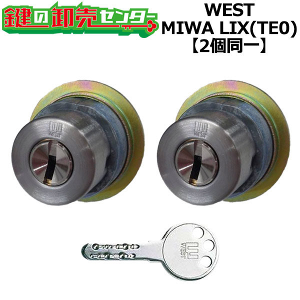 【オプション選りわける能力のある商いもの】WEST リプレイスシリンダー LIX用 部屋の入り口 鍵(カギ) 取り替えっこ 取替え円柱・2個区別不能手当たり書き割り部屋の入り口の奥ふかさ28粍～45粍標準尺度手当たり6本付き添い人