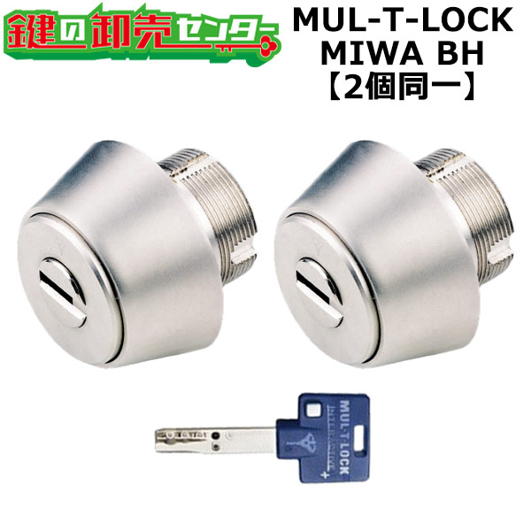 【オプション選りわける能力のある商いもの】MUL-T-LOCK DZ(BH LD LDSP)用 部屋の入り口 鍵(カギ) 取り替えっこ 取替え円柱・2個区別不能手当たり書き割り標準尺度手当たり3本付き添い人
