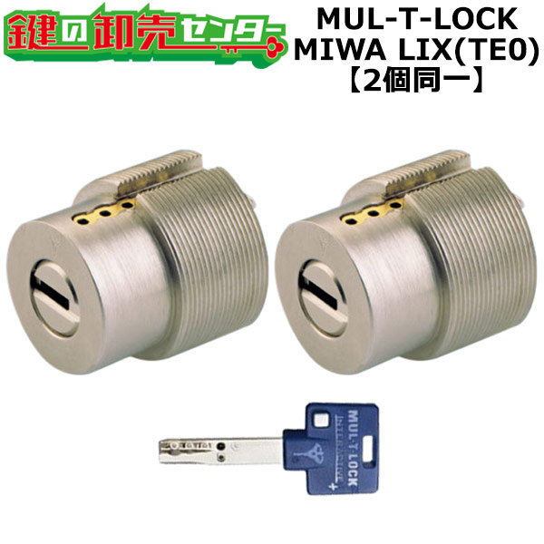 MUL-T-LOCK LIX用 部屋の入り口 鍵(カギ) 取り替えっこ 取替え円柱 2個区別不能手当たり書き割り ■標準尺度手当たり3本付き添い人■