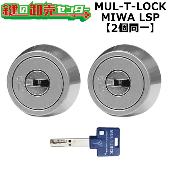 【オプション選りわける能力のある商いもの】MUL-T-LOCK LSP用 部屋の入り口 鍵(カギ) 取り替えっこ 取替え円柱・2個区別不能手当たり書き割り 標準尺度手当たり3本付き添い人