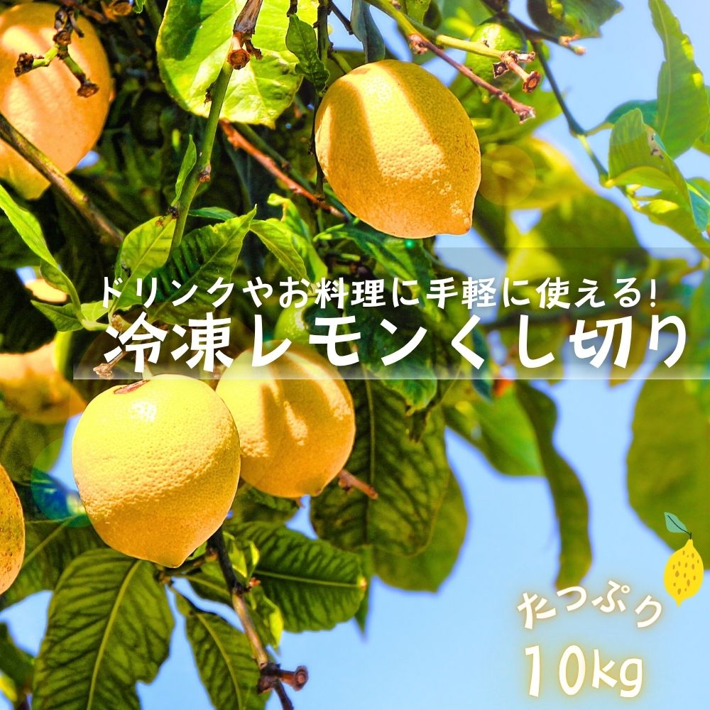 レモン くし切り 冷凍 10kg(500g×20袋)フルーツ レモンサワー レモネード レモンティー 業務用 ホットレモン バラ凍結 トッピング 冷凍フルーツ 送料無料