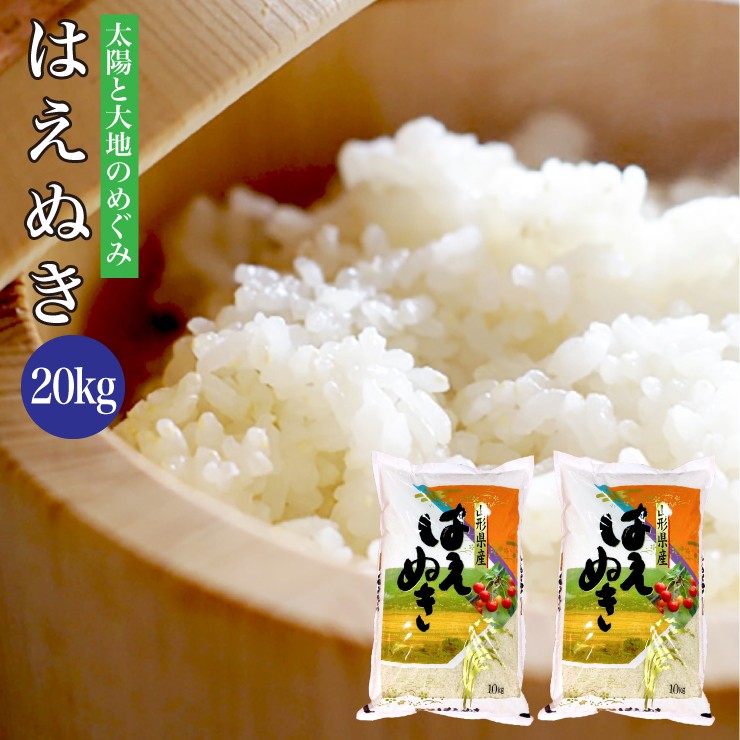 楽天市場】送料無料 無洗米 令和4年産 山形県産 はえぬき 20kg 米 10kg