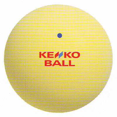 ケンコー　ソフトテニスボール　練習球　イエロー　８ダース KENKO ソフトテニスボール 練習球 10ダース入りかご入りセット