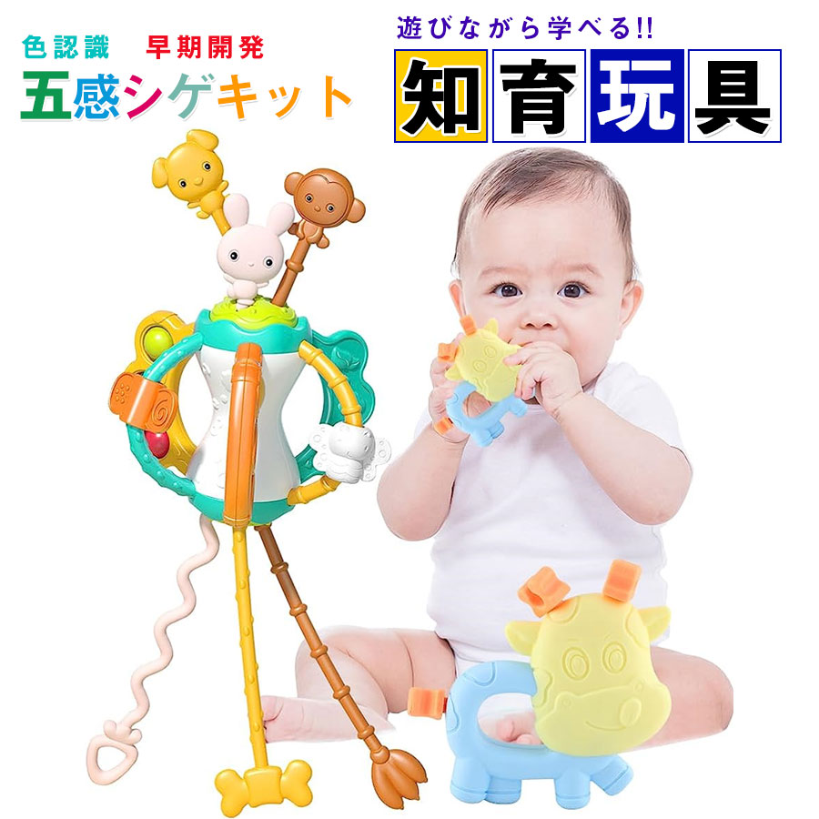 楽天市場】ピーターキン Peterkin Asia Ltd. オクトパスループ