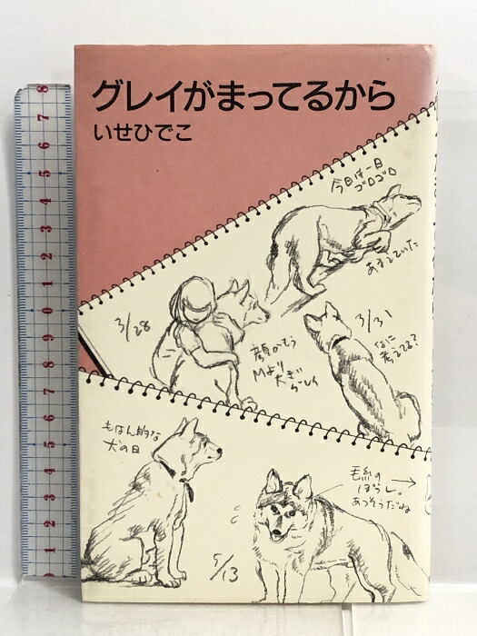 楽天市場】【中古】迷路の小説論 河出書房 平岡篤頼