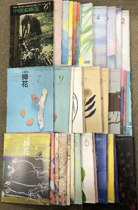 昭和新聞漫画史 別冊一億人の昭和史 : 笑いと風刺でつづる世相