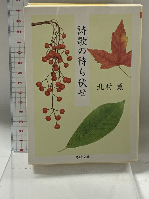 大割引 新風舎 楽天市場】【中古】彼岸バス みご リサイクル : なごみ 文学+小説
