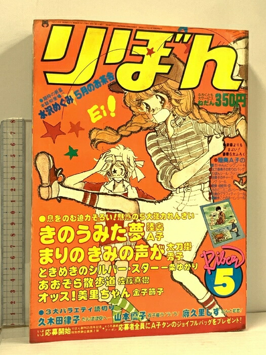 いらかの波 コミック 全5巻完結セット (集英社文庫―コミック版