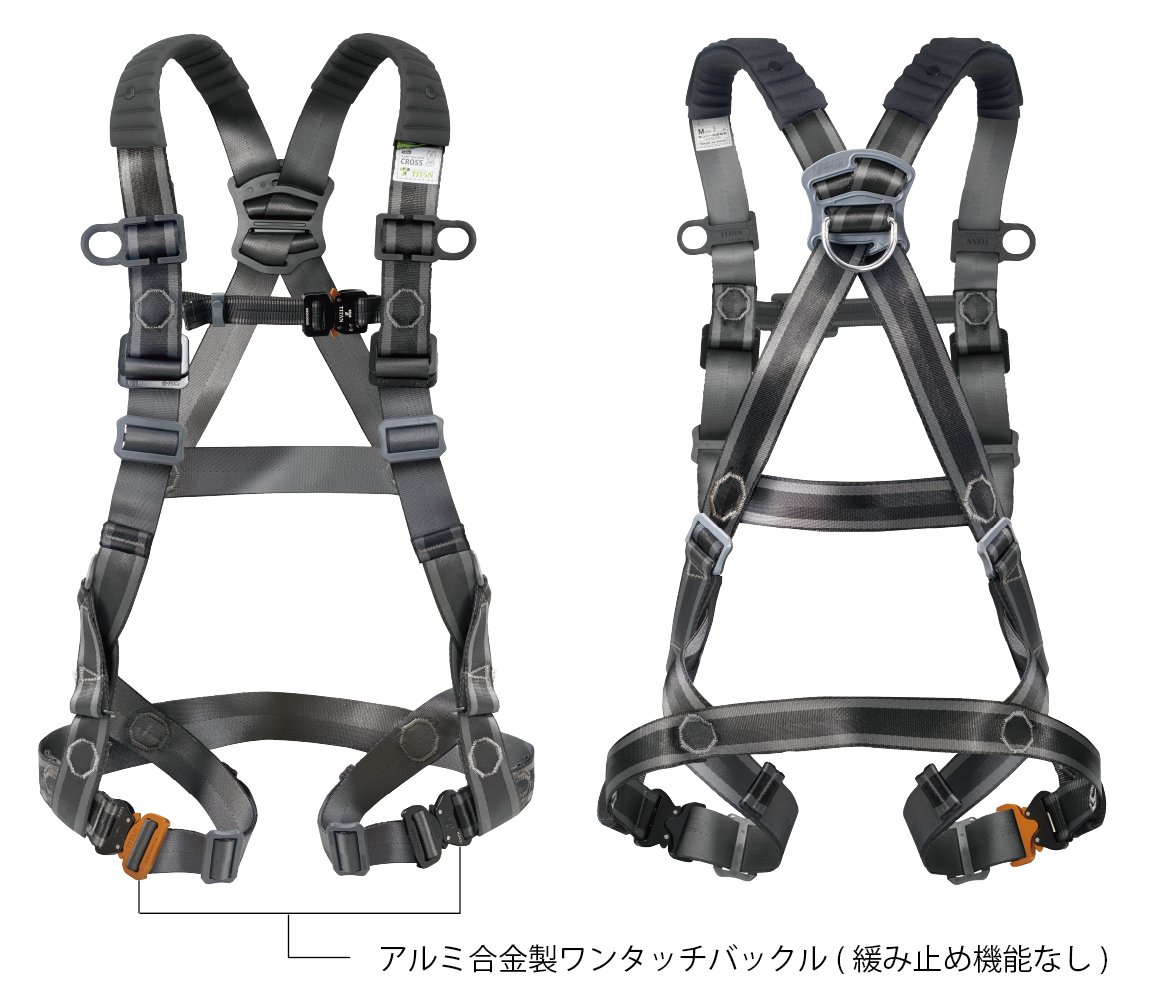 石綿・ダイオキシン進め方