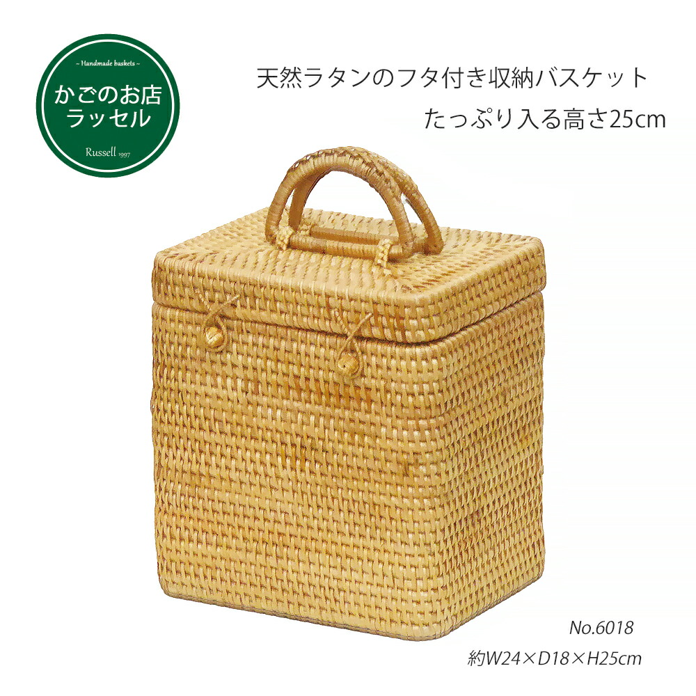 【かごのお店ラッセル】 ラタン 提げ篭 蓋付き添い人 かご御徒面子 縦型ピクニック提げ篭 ブート提げ篭 レトロ 籠 ボックス席 納める容れもの 持ちお手掛け フタ付き添い人 お仕舞い具付き添い人 今めかしい H25珊 No.6018