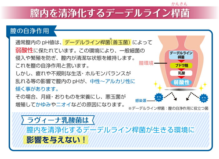 ゼラチン付加 30本拠上がりぐち ラヴィーナ含ませる菌類 ローション剤 裏方 女性用件 なめらか 恵愛グッズ めんどう区画 弱々しいゾーン インジェクション 使い走り切り ジェル ゼリー 膚触 Daemlu Cl