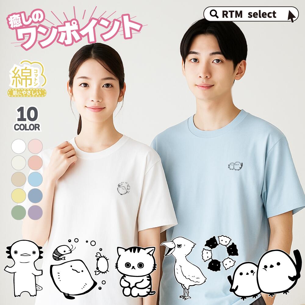 楽天市場】【5枚入り！大福袋】何が届くかお楽しみ！ Tシャツ