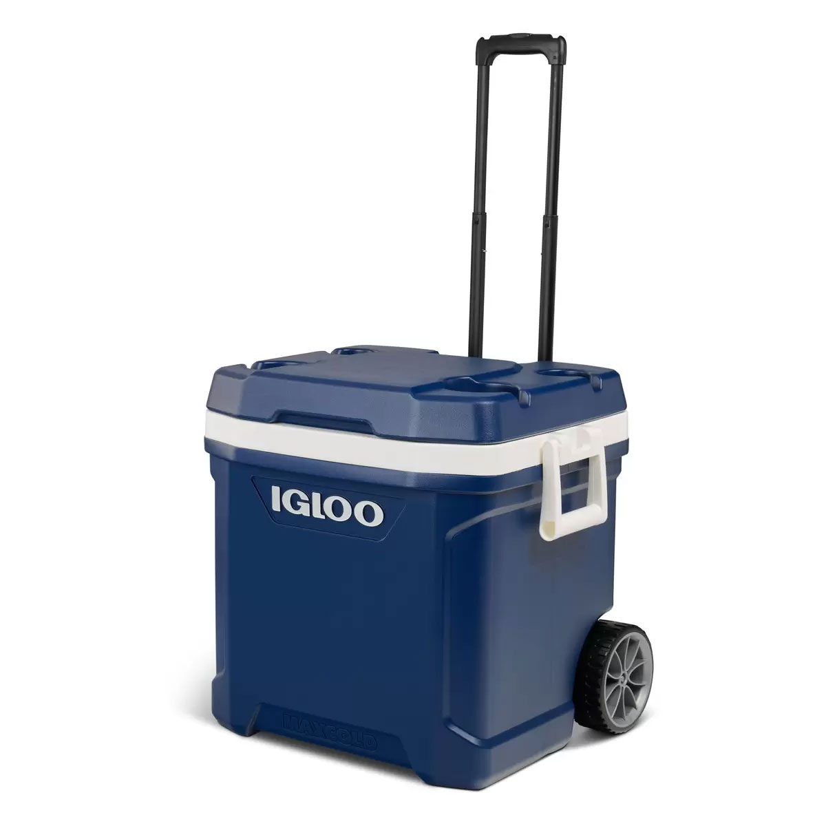 楽天市場】【送料無料】IGLOO LEGACY ステンレススチール