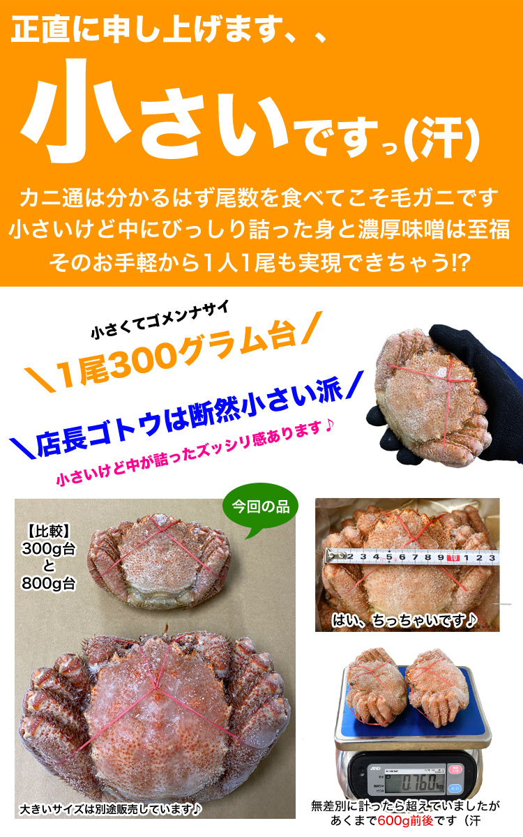 毛ガニ 360g前後×2尾セット 小型 ボイル 冷凍 かに カニ 蟹 毛がに 毛蟹 kegani 味噌 ギフト 母の日 父の日 2022年のクリスマス