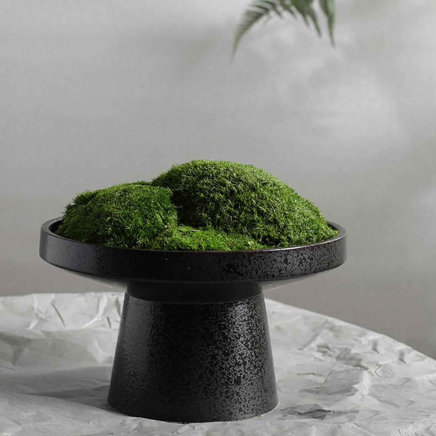 Daily Palette 造花 人工苔盆栽 フェイクグリーン 卓上 人工観葉植物 本物そっくり カラー3 玄関 インテリア 店舗装飾 ディスプレイ 事務所 F 玄関 新築祝い 引越し祝い 生け花 シルクフラワーアレンジメント｜デイリーパレット店