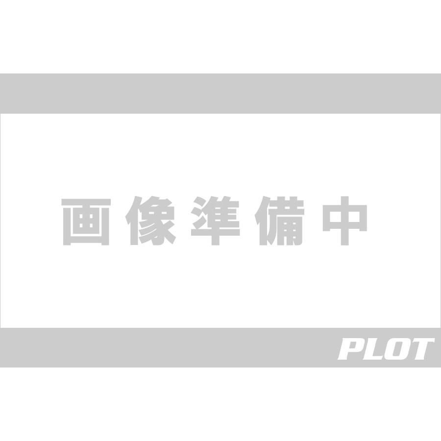 AELLA (アエラ) 車高調整リンクロッドセット Panigale V2/959/899 AE-76004A