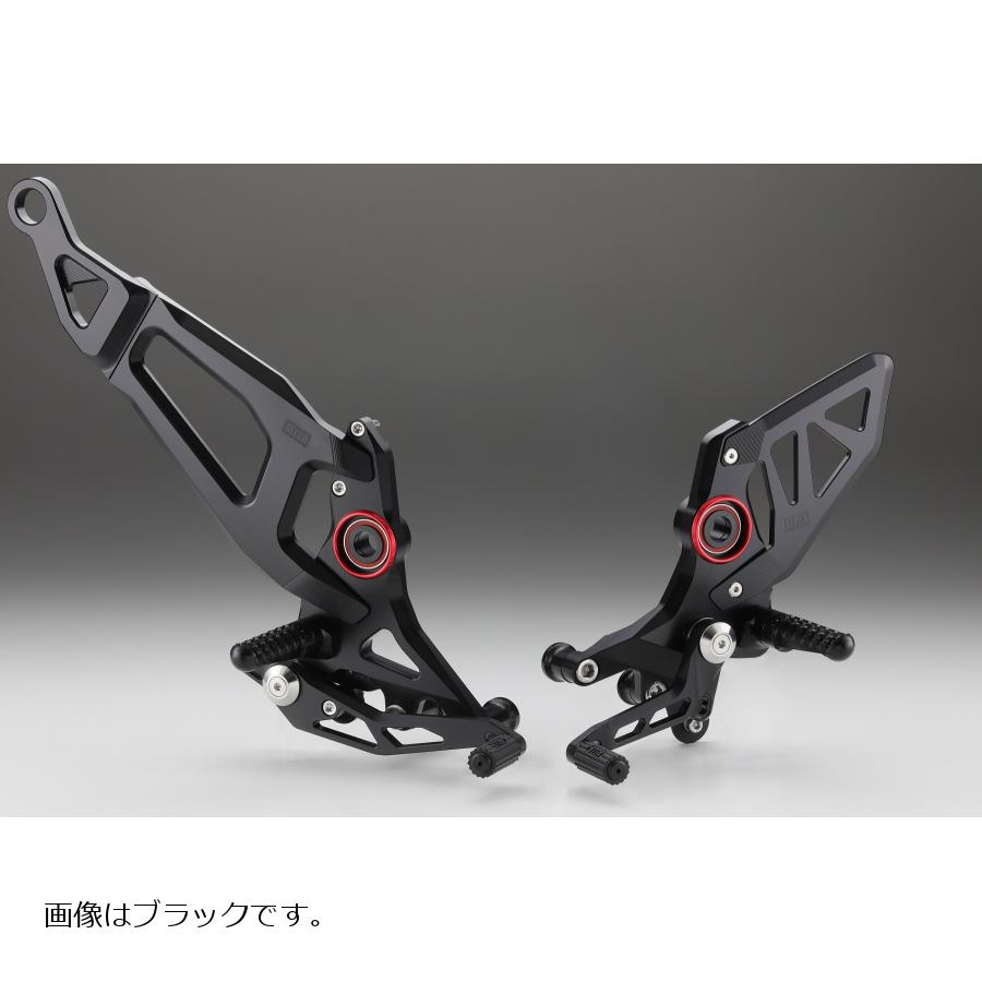 AELLA(アエラ) ライディングステップキット ホワイト DUCATI Monster+ 21- AE-10100-WT