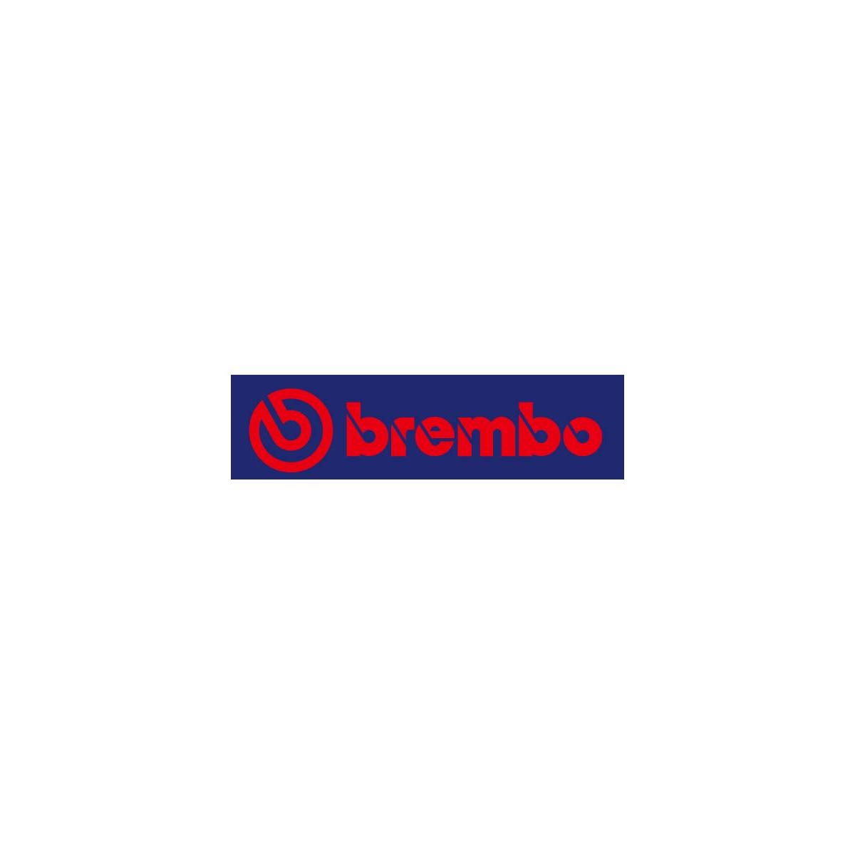brembo(ブレンボ) サーフェスセットφ300 ステン 108.4899.86｜バイクパーツ・用品　ラバーマーク