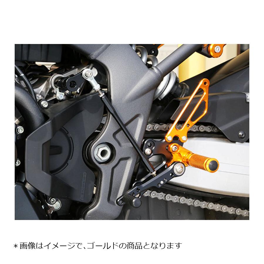 受注生産品】 BABYFACE BABYFACE:ベビーフェイス バックステップキット シフトパターン