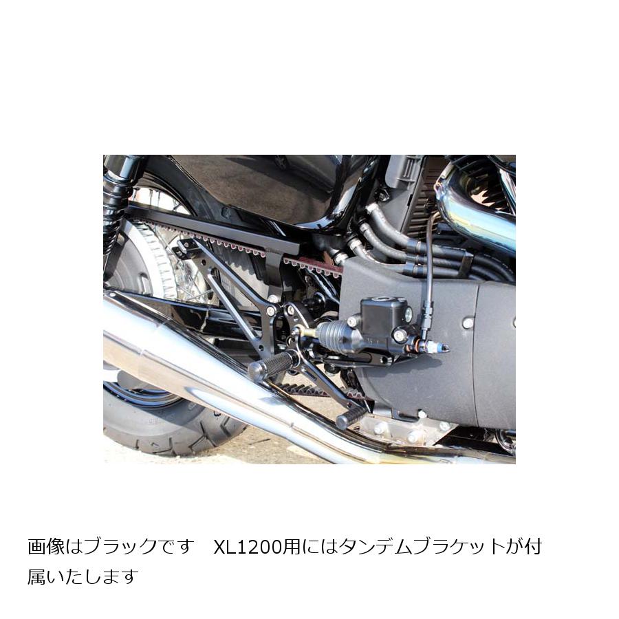 BABY FACE (ベビーフェイス) バックステップ スポーツスター Sportster XL1200 4ポジション シルバー 002-HD006SVTC