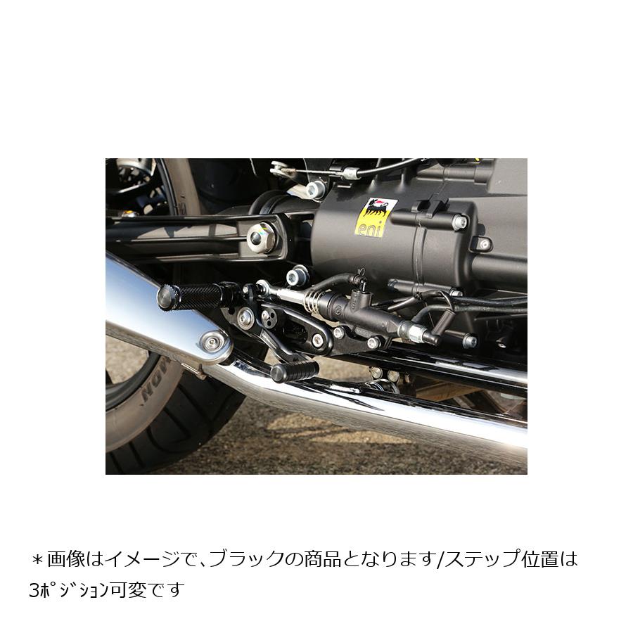 BABY FACE (ベビーフェイス) バックステップ V7 2 Racer V7 2 Stone シルバー 002-MG02SV