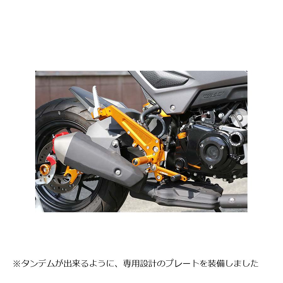 BABY FACE (ベビーフェイス) バックステップキット GROM グロム ゴールド 002-H034GD