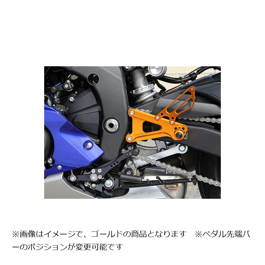 メール便指定可能 ベビーフェイス バックステップキット ゴールド YZF