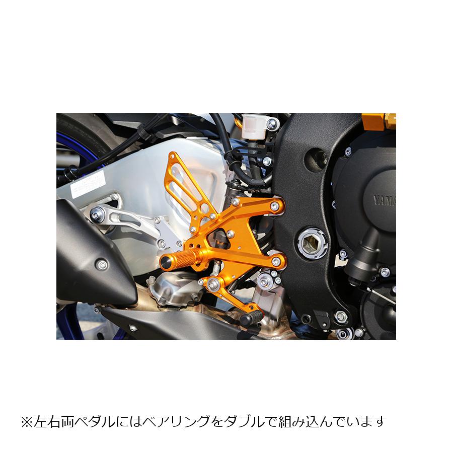 最安値に挑戦！ ベビーフェイス バックステップキット MT-10 MT-10SP