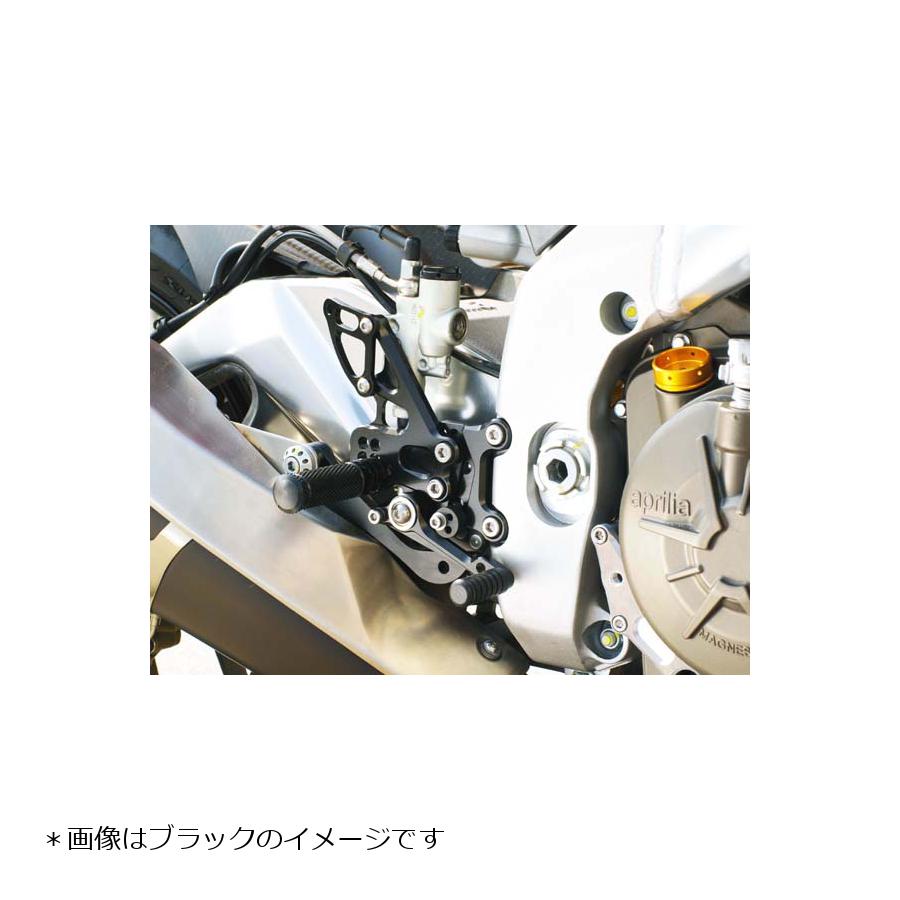 ベビーフェイス バックステップ RSV4 FACTORY ファクトリー シルバー