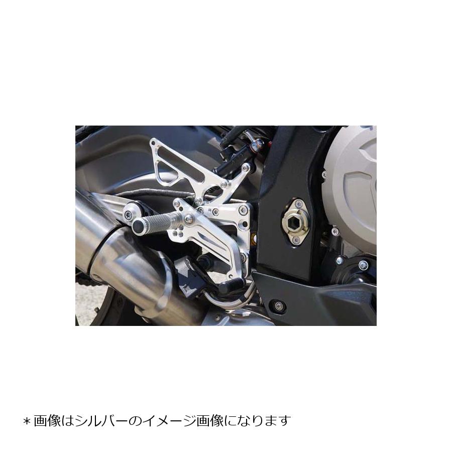 ベビーフェイス バックステップ S1000RR フォワード ゴールド 9