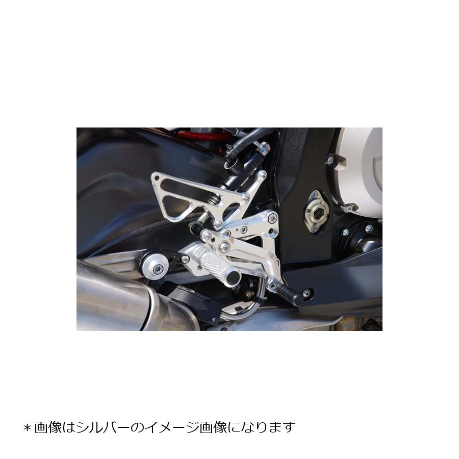 ベビーフェイス バックステップ S1000RR フォワード ゴールド 9