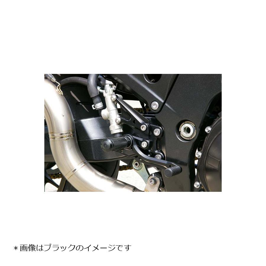ベビーフェイス バックステップ ZZR1400 ZX-14 002-K010SVR 8 