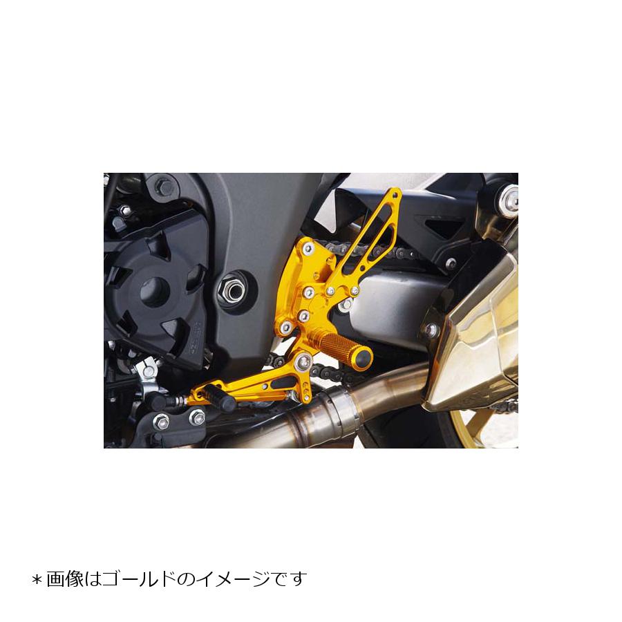 市場 ベビーフェイス Z1000 バックステップ 正チェンジのみ ZRT00B 6ポジション