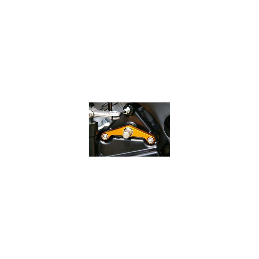 ベビーフェイス シフトスピンドルホルダー ゴールド GSXR1000 09-14 002-S012S