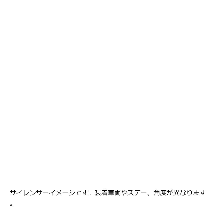 ウイルズウィン ロイヤルマフラーユーロタイプ スクーピー110i 572-59-04