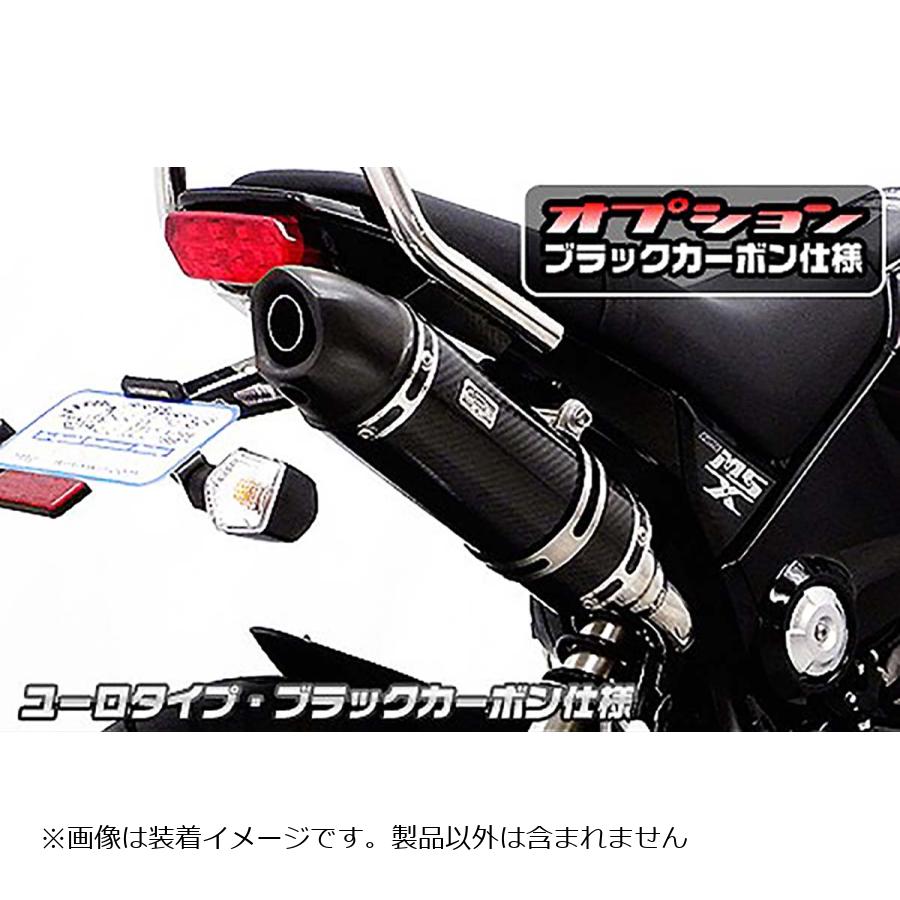 ウイルズウィン ロイヤルマフラー スリップオン ユーロ ブラックC GROM 1型(MSX125) 1322-59-44