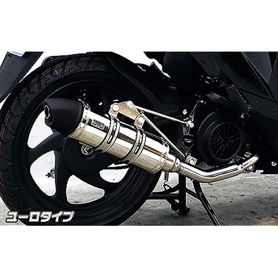 ウイルズウィン ロイヤルマフラーユーロタイプ ディオ110(EBJ-JF58) 1632-59-04