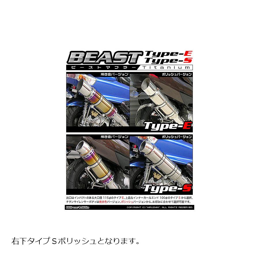 ウイルズウィン ビーストマフラー タイプS/ポリッシュ SKYWAVE250(CJ44/45/46) 312-11-11