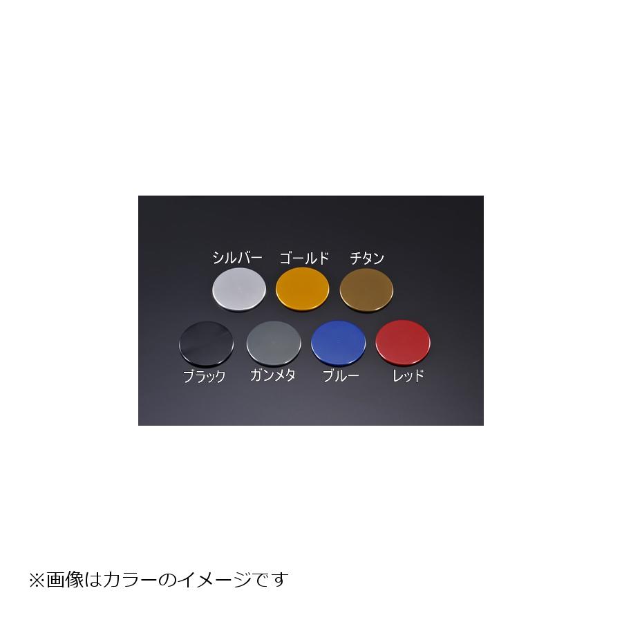 好評にて期間延長 アグラス トップブリッジカバー シルバー Hayabusa 21 321 311 001s Fucoa Cl