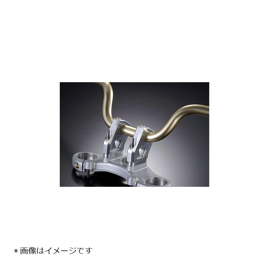 即日発送】 アグラス AGRAS トップブリッジ モンスター S4R 321-555