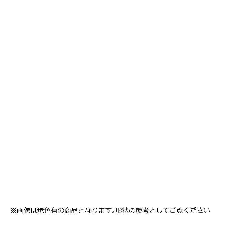 OVER RACING (オーバーレーシング) GP-PERFORMANCE チタンカーボン 焼無 Z900RS オーヴァーレーシング
