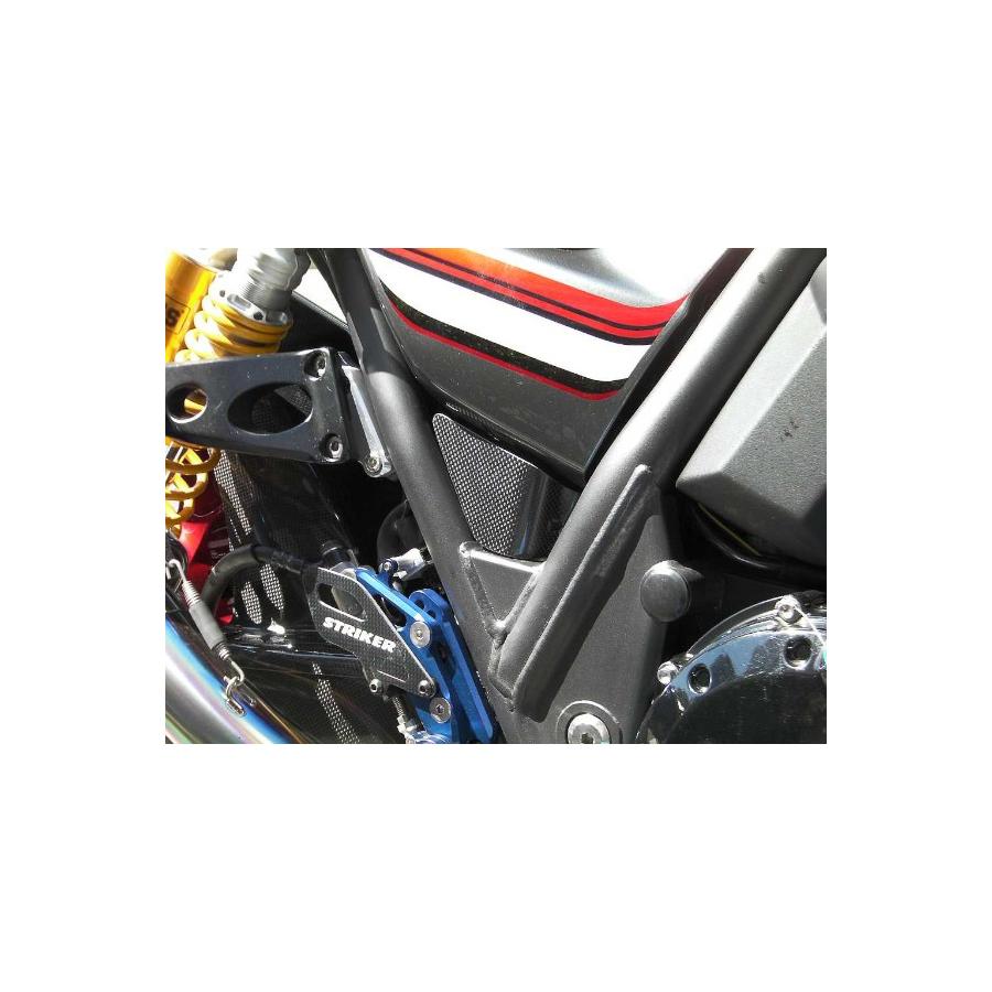 STRIKER(ストライカー) エアロデザイン リザーバータンクカバー カーボン ZRX1200R ZRX1200S ZRX1200 DAEG[ダエグ] ZRX1100 SAD-RTC101C