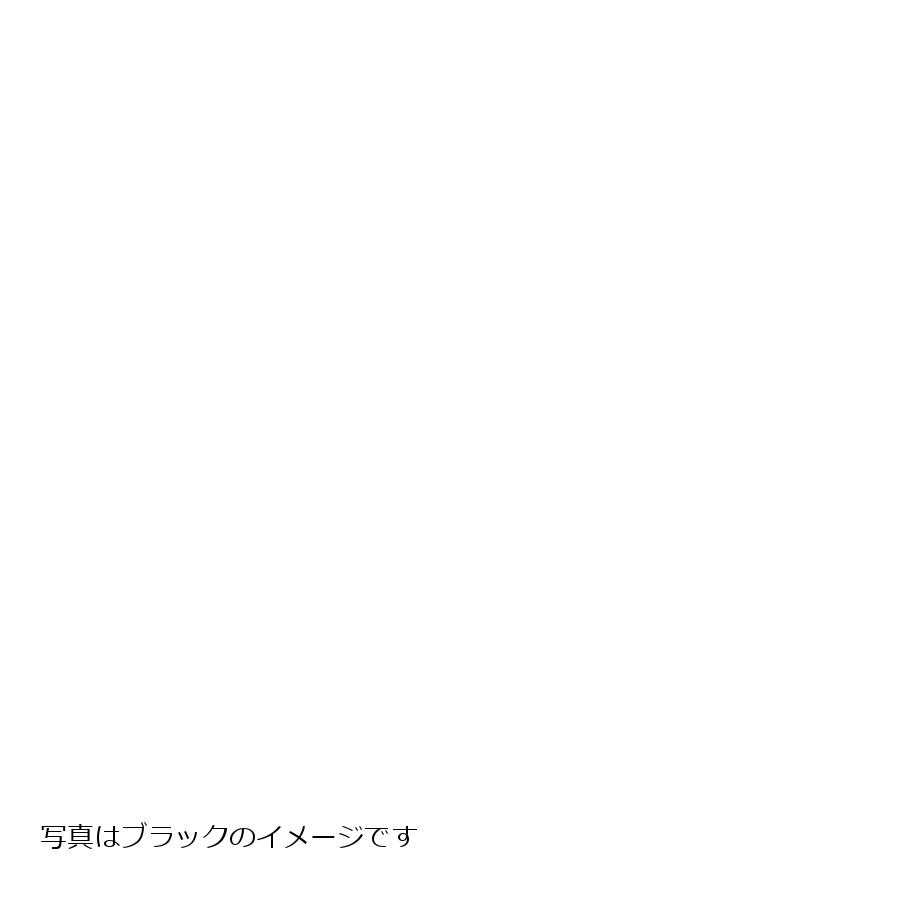 GALE SPEED (ゲイルスピード) F350-17 ホイール ゴールド TYPE-E YZF-R1 YZF-R6 FZ-1 ABS不可｜バイクパーツ・用品　ラバーマーク 81,675円