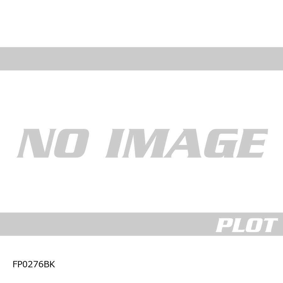 R&G (アールアンドジー ) Fork Protectors:ブラック DIAVLE V4 RG-FP0276BK