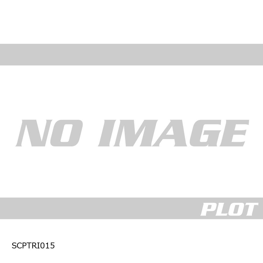 R&G (アールアンドジー ) セカンドスキン 765RS STREET TRIPLE(20-22) RG-SCPTRI015