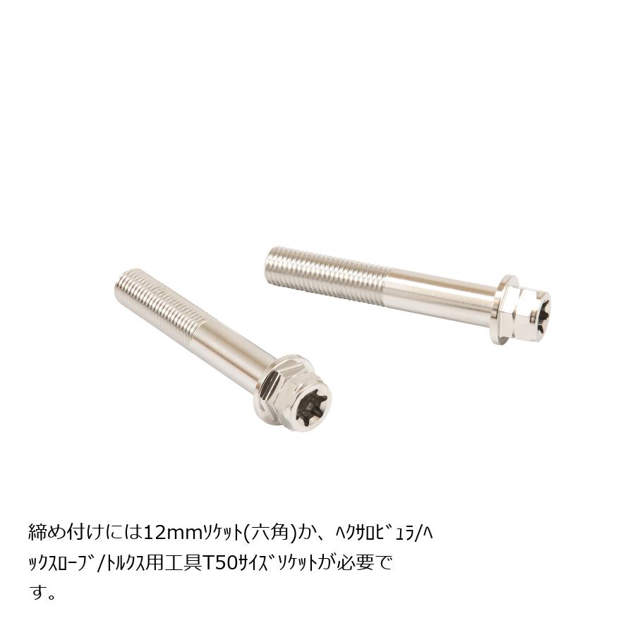 プロトブレンボ ステンレスキャリパーマウントボルト ポリッシュ 60mm フランジ六角 M10/P1.25 ヘクサロビュラ 2本入 CMBF-060P