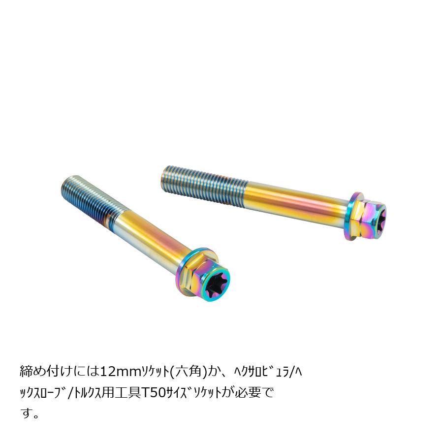 プロトブレンボ ステンレスキャリパーマウントボルト チタン色 70mm フランジ六角 M10/P1.25 ヘクサロビュラ 2本入 CMBF-070T