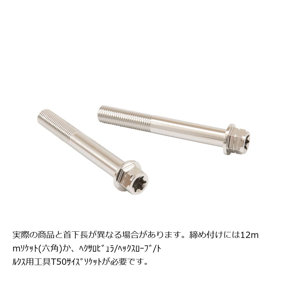 プロトブレンボ ステンレスキャリパーマウントボルト ポリッシュ 85mm フランジ六角 M10/P1.25 ヘクサロビュラ 2本入 CMBF-085P