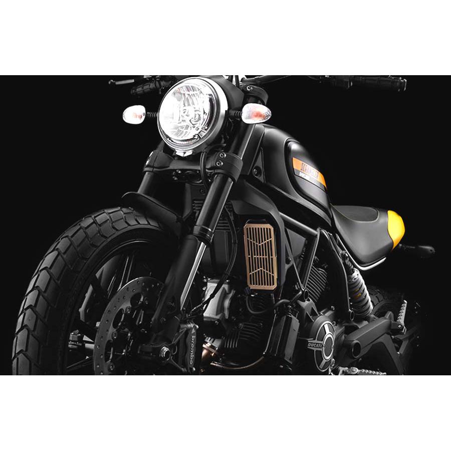 BIKERS (バイカーズ) ステンレス コアガード チタンコート ゴールド ドゥカティ スクランブラー DUCATI SCRAMBLER D0036-GLD｜バイクパーツ・用品　ラバーマーク